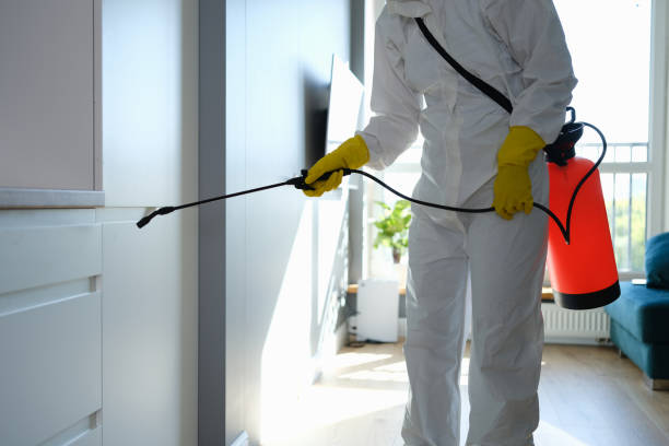 Best Professional Mold Removal  in Harmony, PA