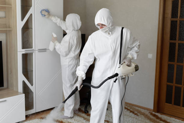 Professional Mold Removal in Harmony, PA