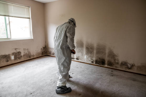 Best Emergency Mold Removal  in Harmony, PA
